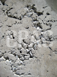 cpacacademy_com_0128_1_3_img1_3651